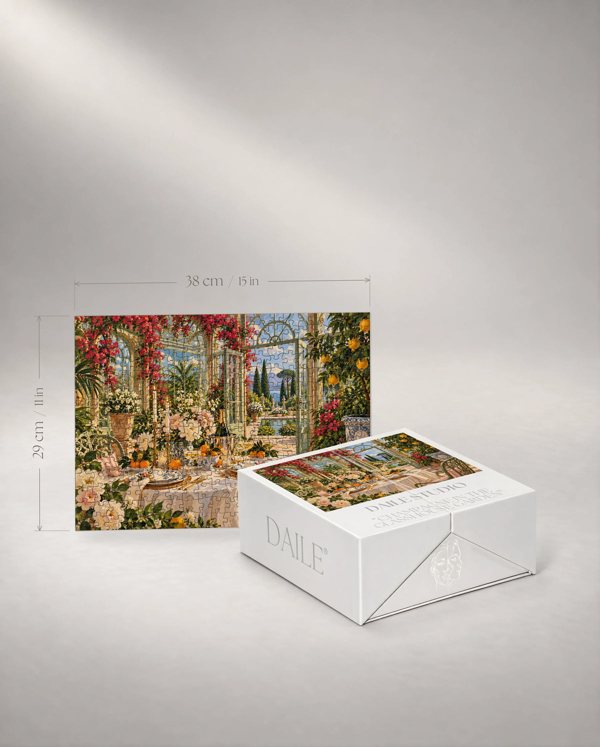 300-piece puzzle with the DAILE Mini gift box #set:mini-300