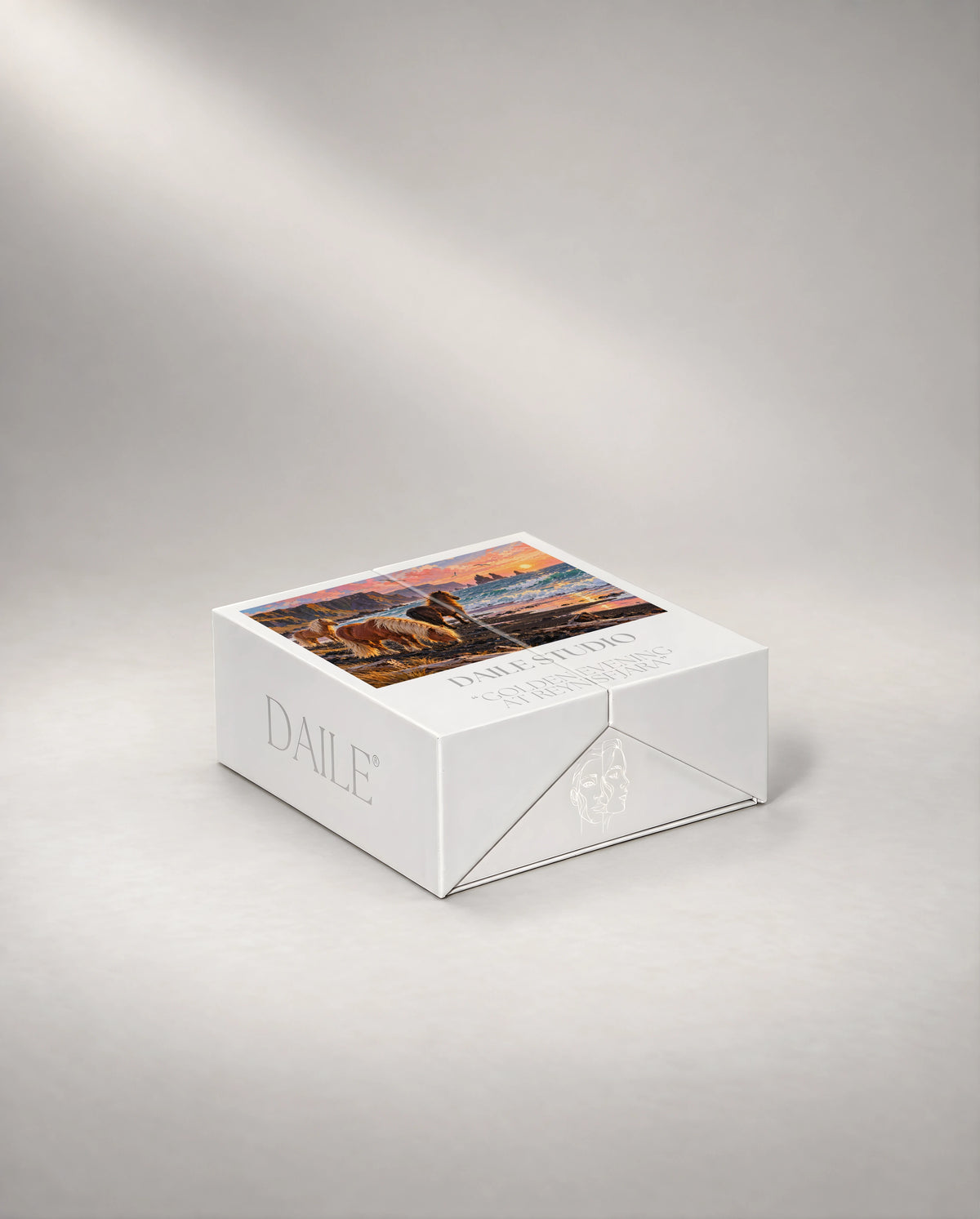 DAILE Mini gift box, closed #set:mini