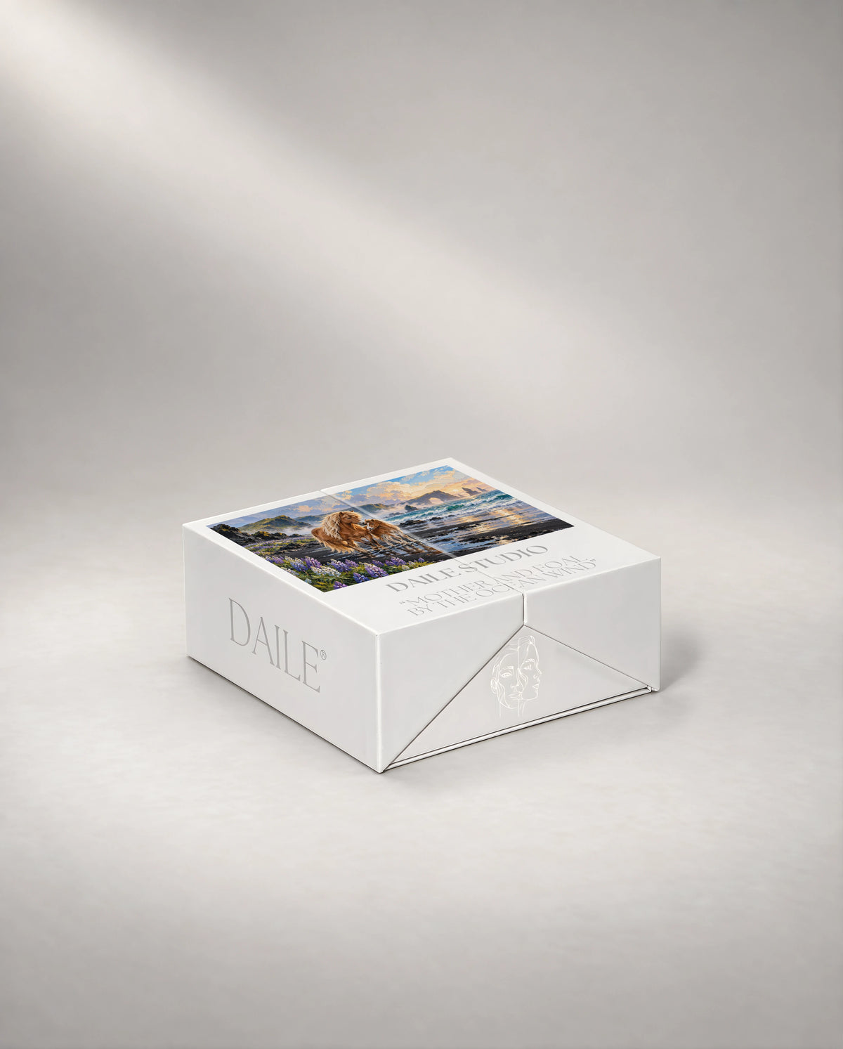 DAILE Mini gift box, closed #set:mini
