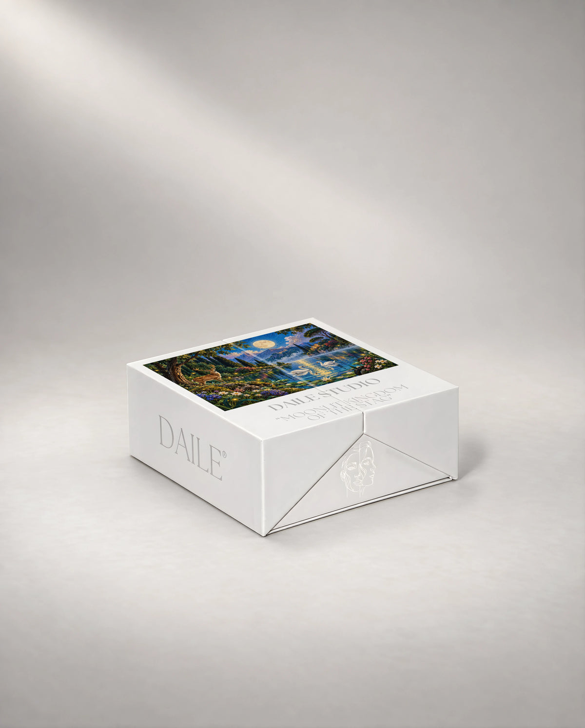DAILE Mini gift box, closed #set:mini