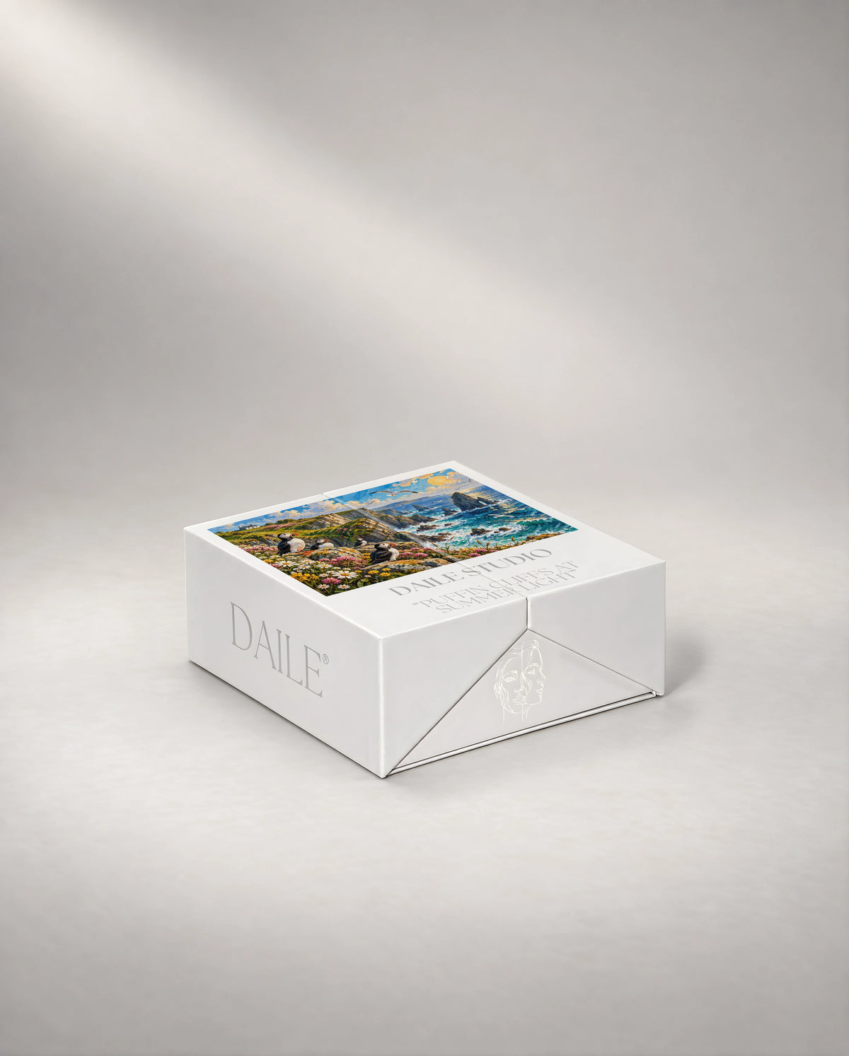 DAILE Mini gift box, closed #set:mini