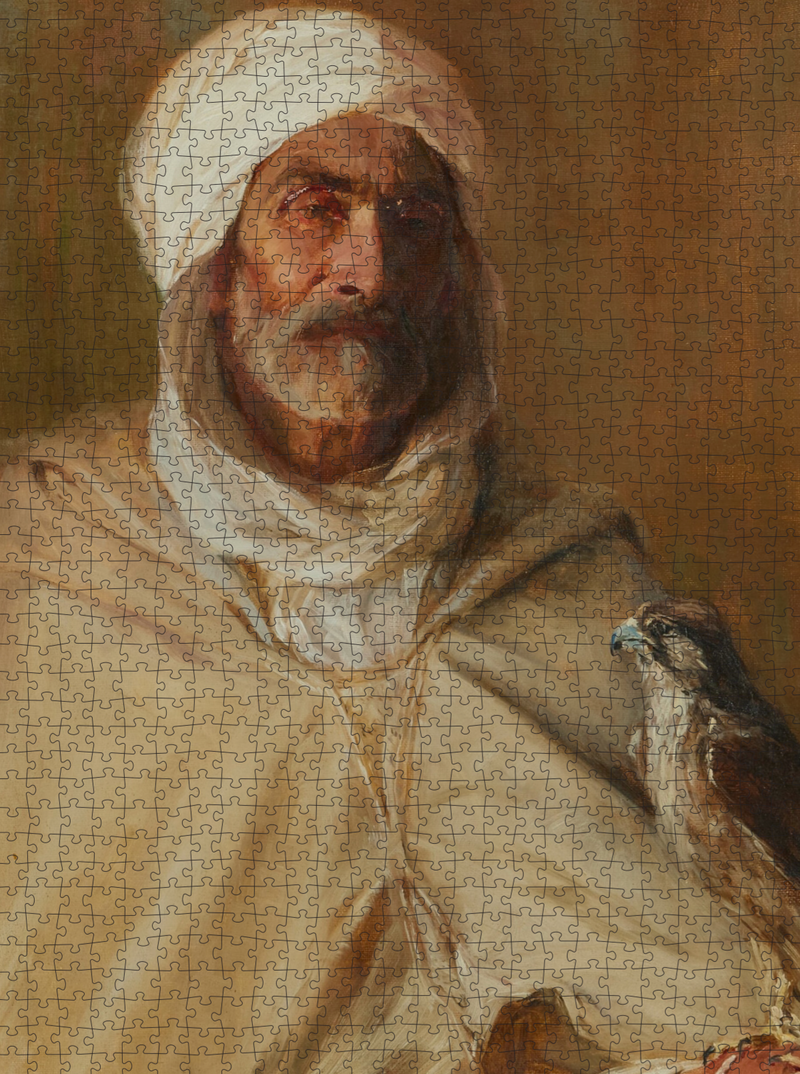 The Old Falconer of Ben Gana - Elizabeth Rebecca Coffin | DAILE