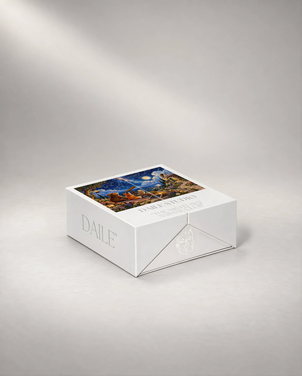 DAILE Mini gift box, closed #set:mini