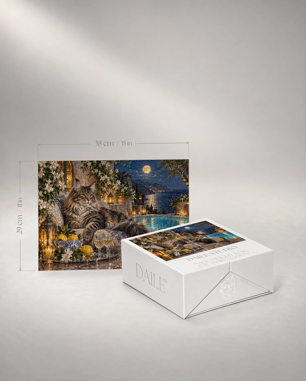 300-piece puzzle with the DAILE Mini gift box #set:mini-300