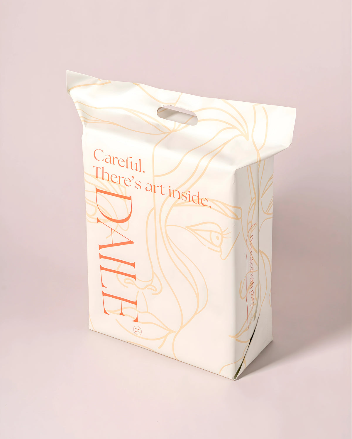 DAILE shipping box