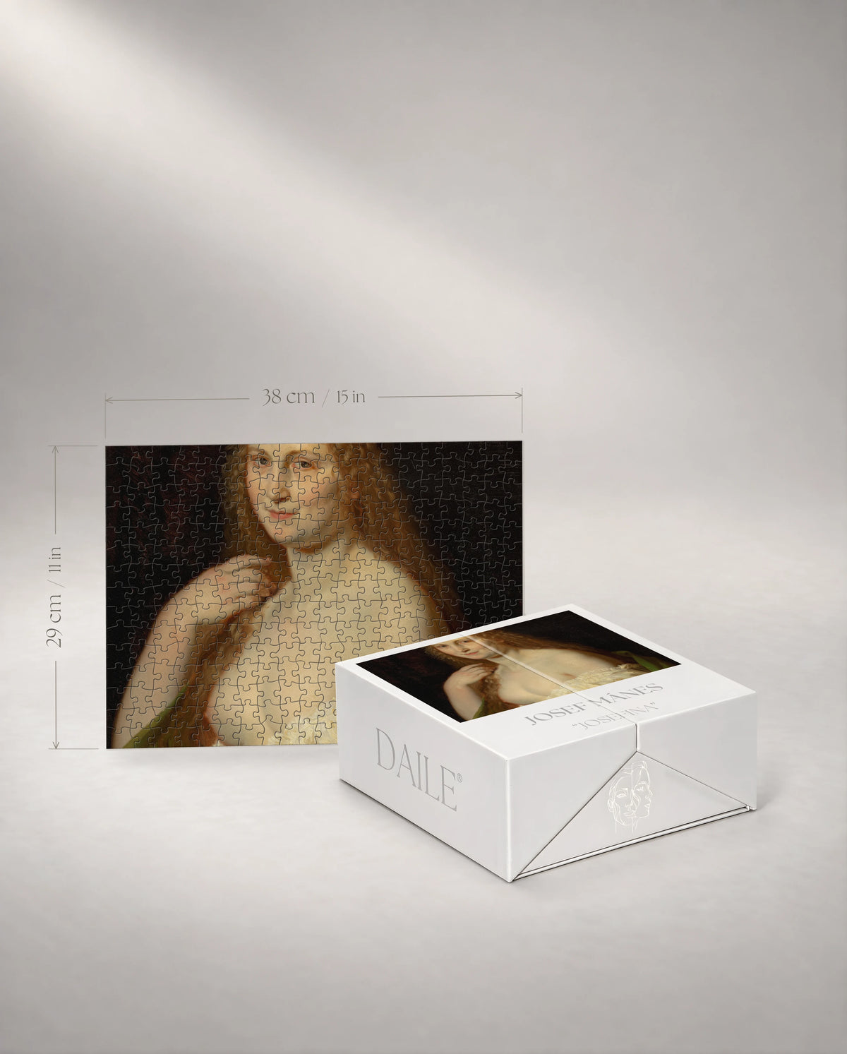 300-piece puzzle with the DAILE Mini gift box #set:mini-300
