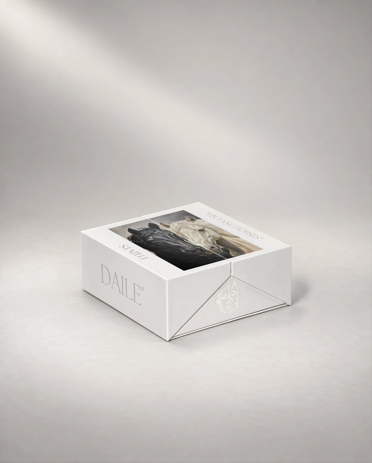 DAILE Mini gift box, closed #set:mini